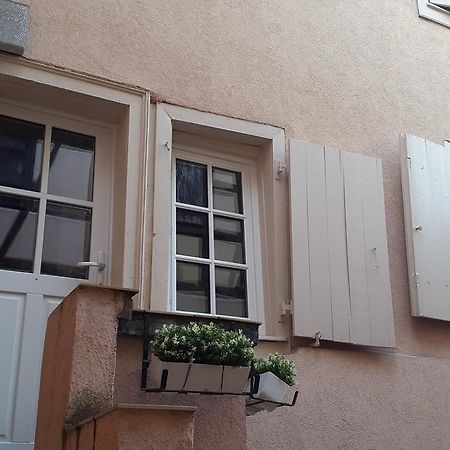 Colmar City Center Little Venise - Gite De Louise - מראה חיצוני תמונה